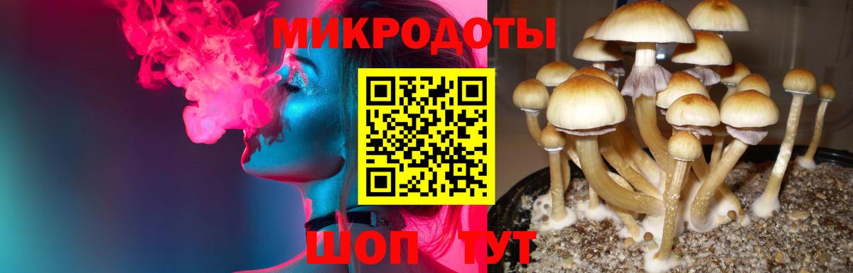 Галлюциногенные грибы мухоморы  Псилоцибиновые грибы MAGIC MUSHROOMS  Татарск  Вход с VPN 